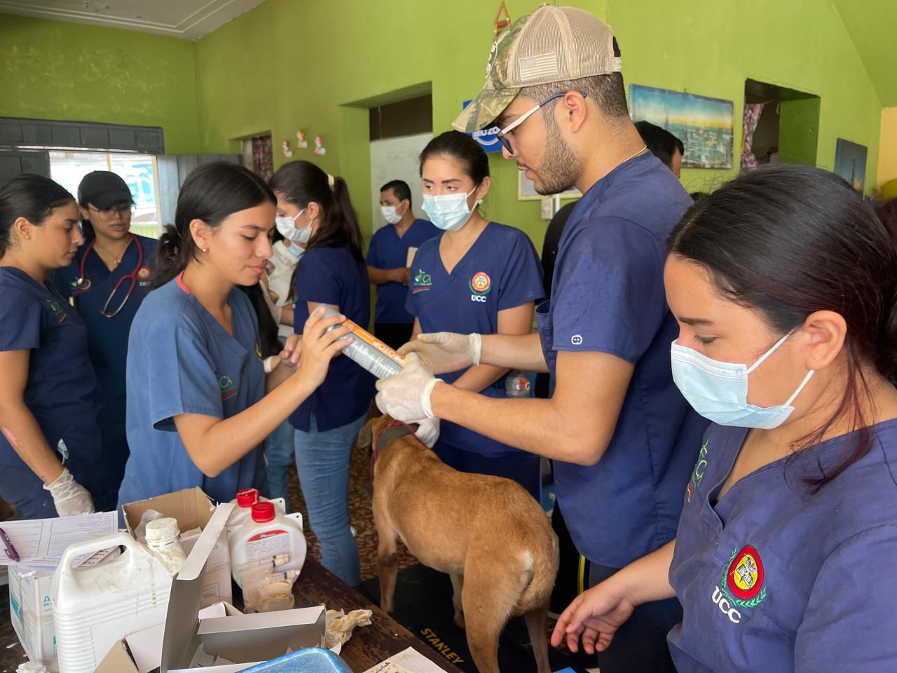 Compromiso con el bienestar animal – Universidad de Ciencias Comerciales